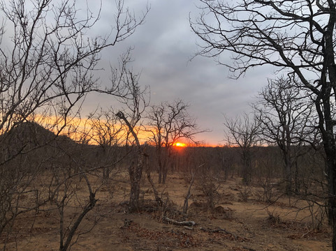 Natural Earth Safaris-霍德斯普鲁特必去景点