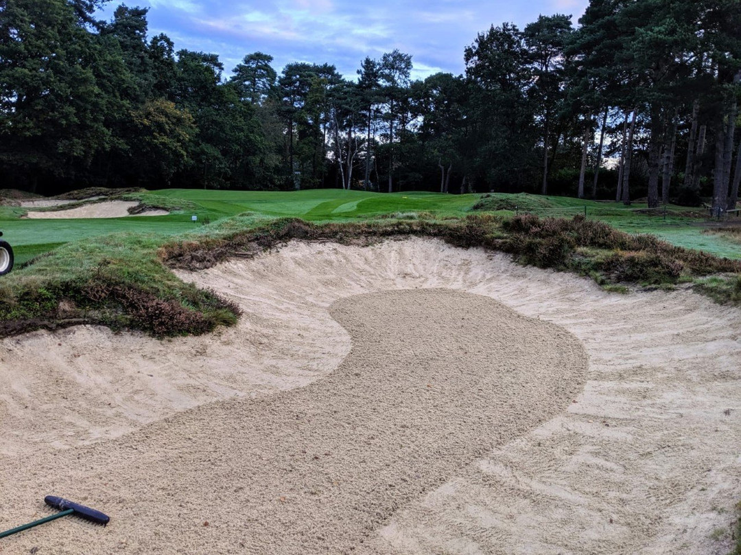 Camberley Heath景点图片