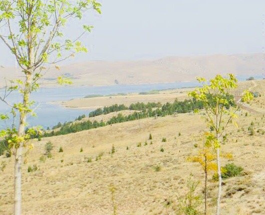 Karaahmetli Tabiat Parki-克勒克卡莱必去景点