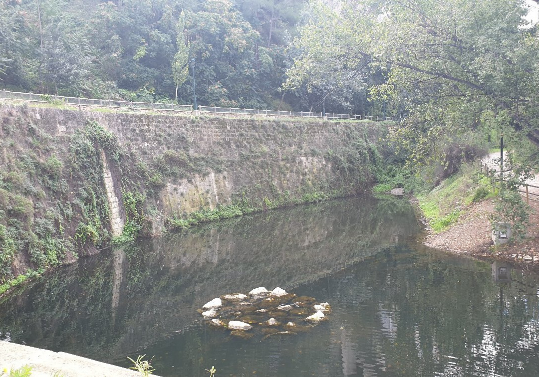 Riverfit景点图片
