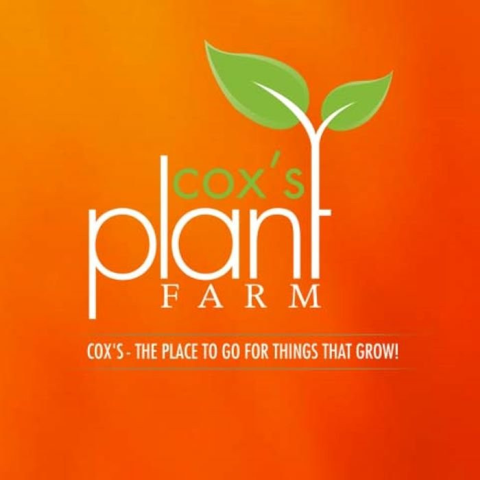 North Salem旅游景点-Cox's Plant Farm