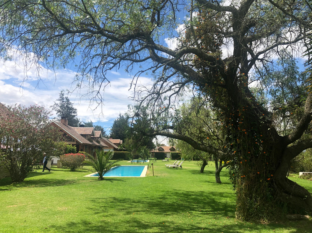 La Palma Polo Hotel主图