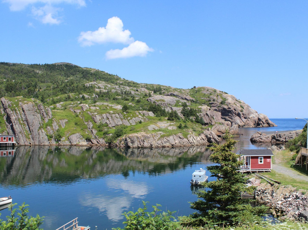 Quidi Vidi Battery景点图片