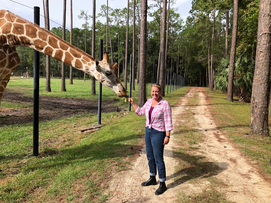 White Oak Conservation Center-Yulee必去景点