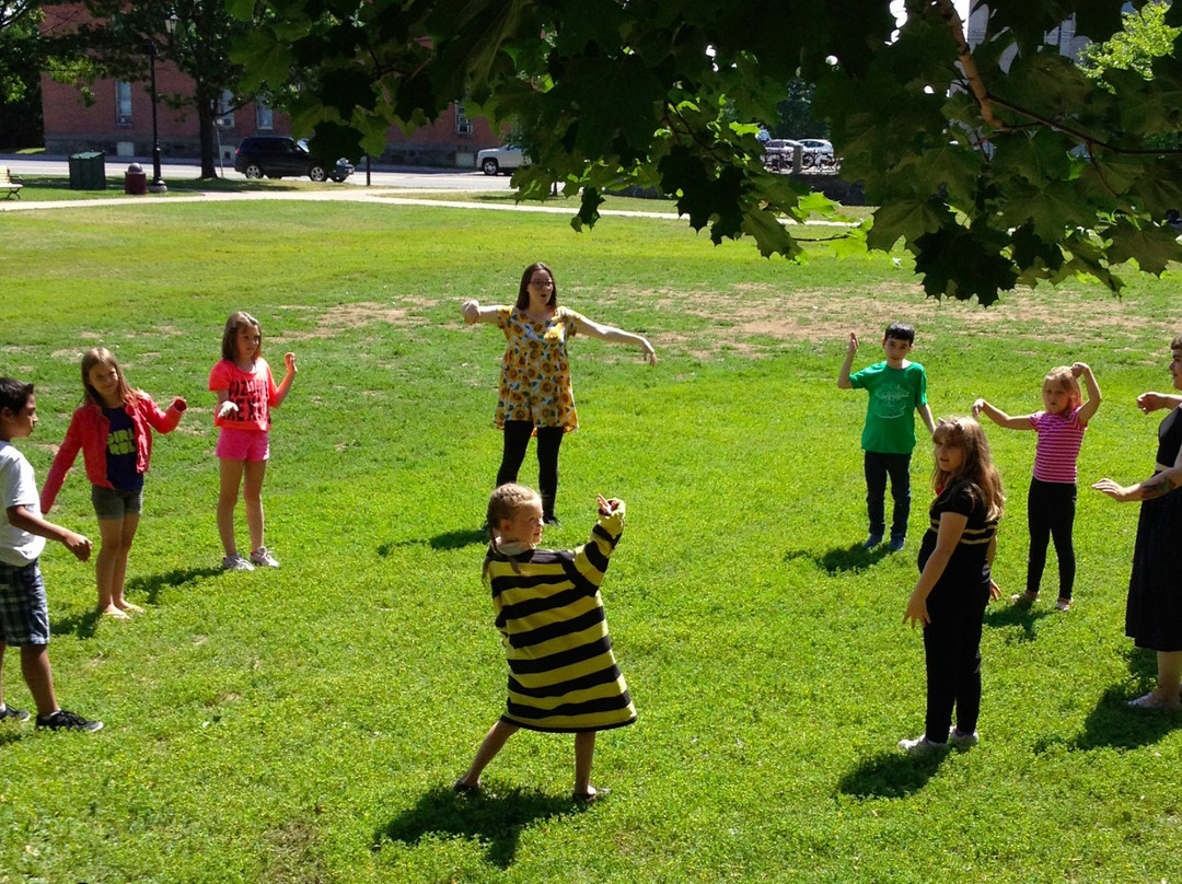 Calithumpians Fredericton Outdoor Summer Theatre-弗雷德里克顿必去景点