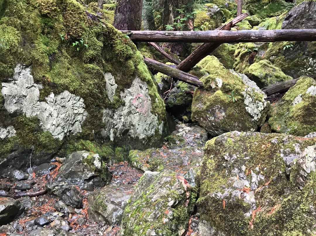 Lena Lakes景点图片