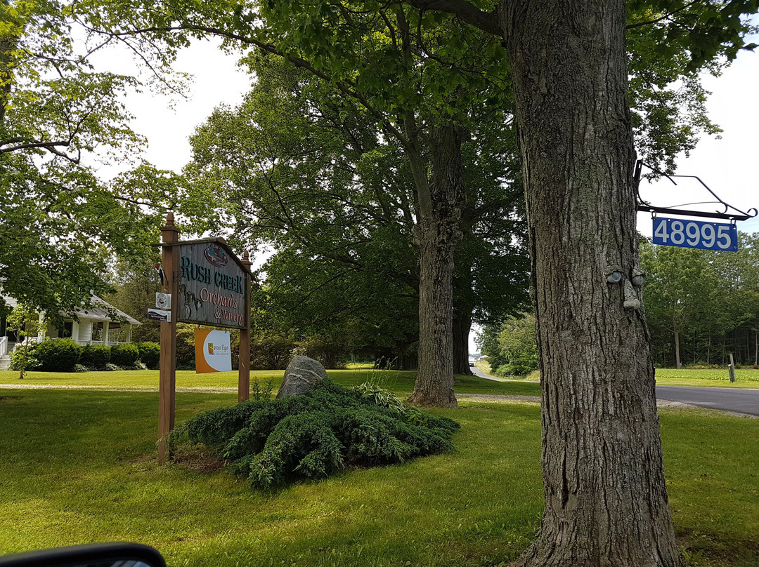 Port Burwell旅游景点-Rush Creek Wines Ltd