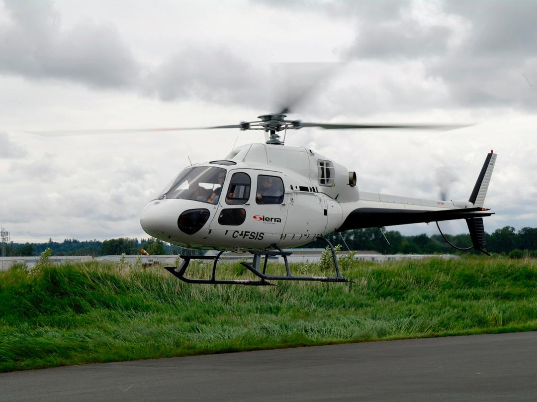 Sierra Helicopters景点图片