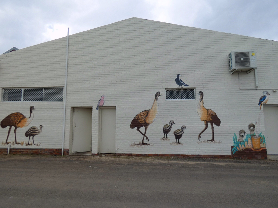Public Silo Trail-Katanning必去景点