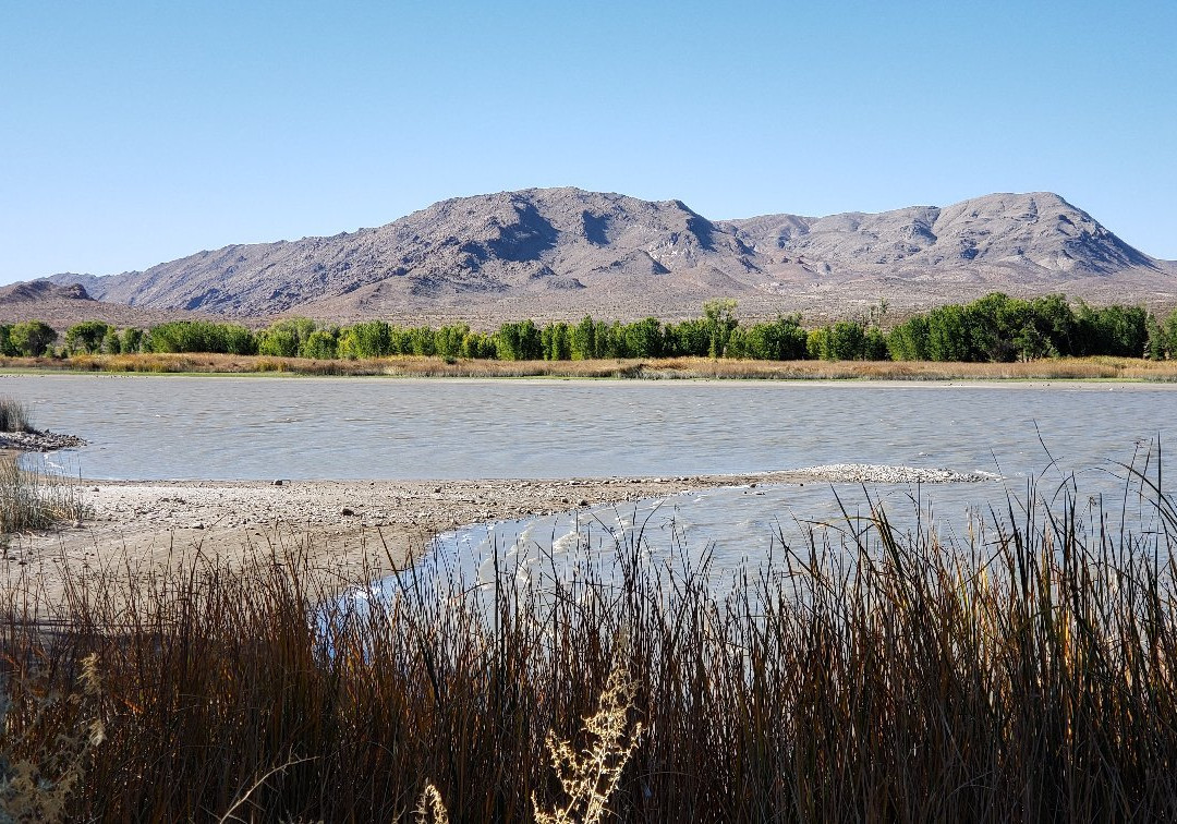 Pahranagat National Wildlife Refuge景点图片