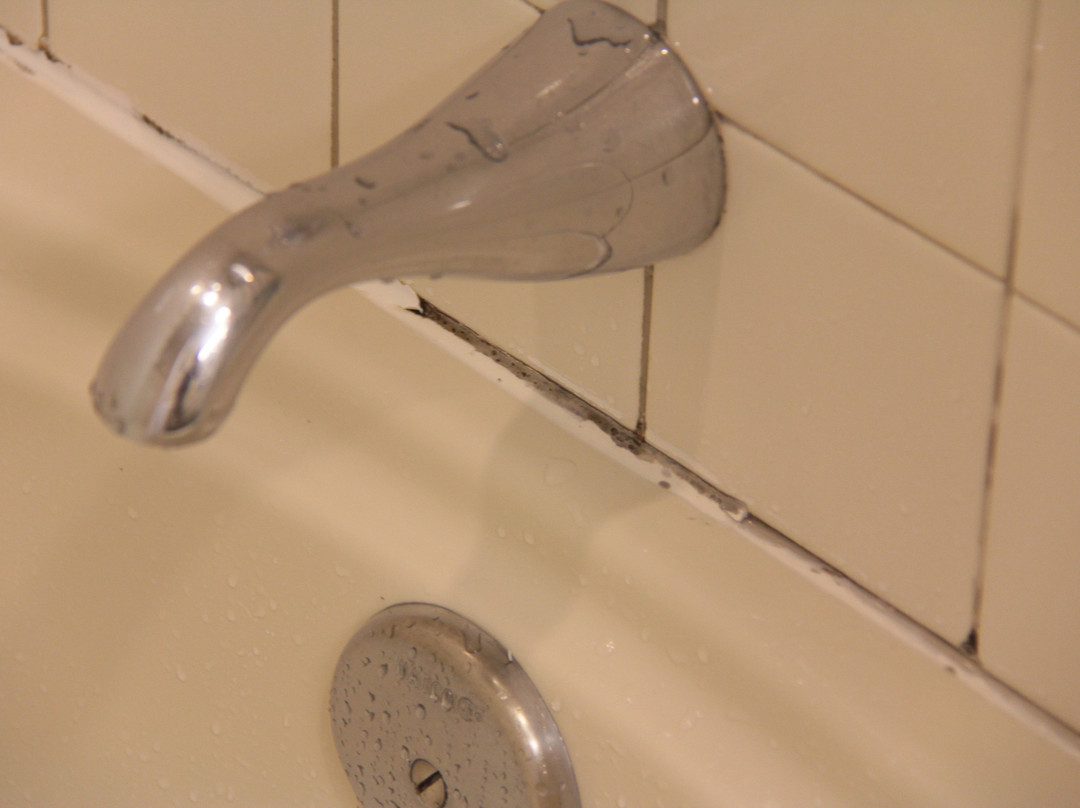 Rosario Village主图