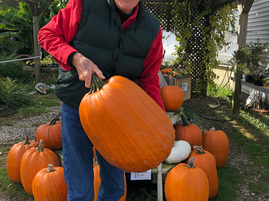 Logee's Greenhouses-Killingly必去景点