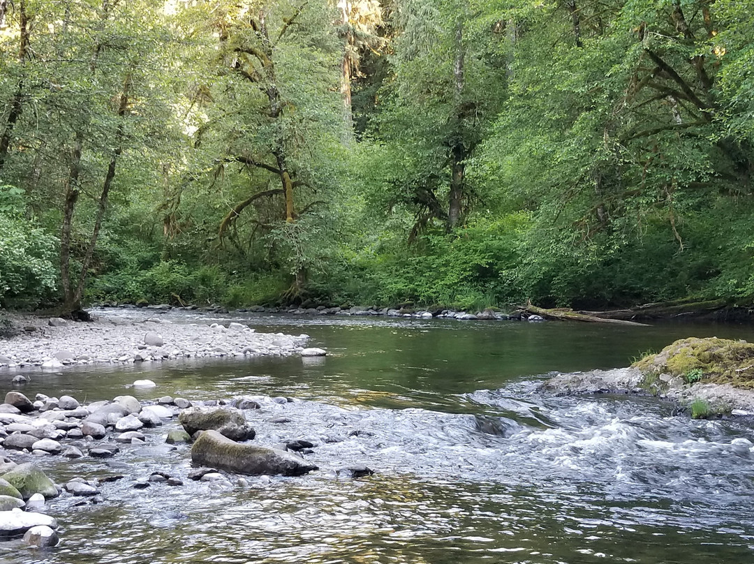 Eagle Creek旅游景点-Eagle Fern Park