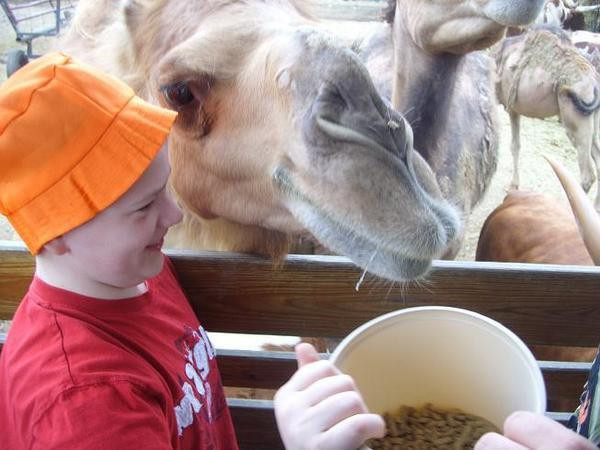 Wagon Trails Animal Park-Vienna必去景点