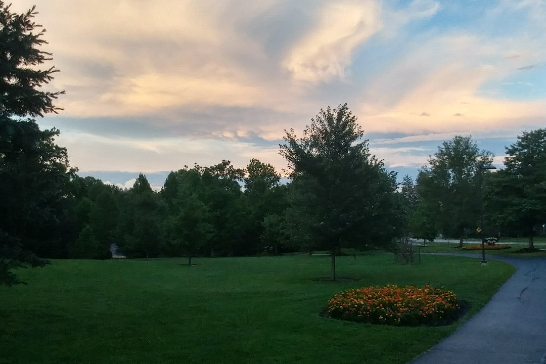 Kenwood旅游景点-Swaim Park