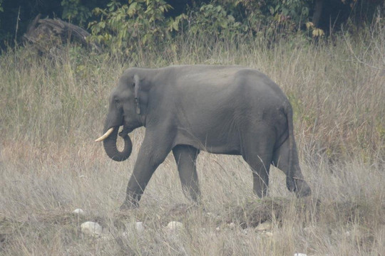 Pathikworld Tours-里希克虚必去景点