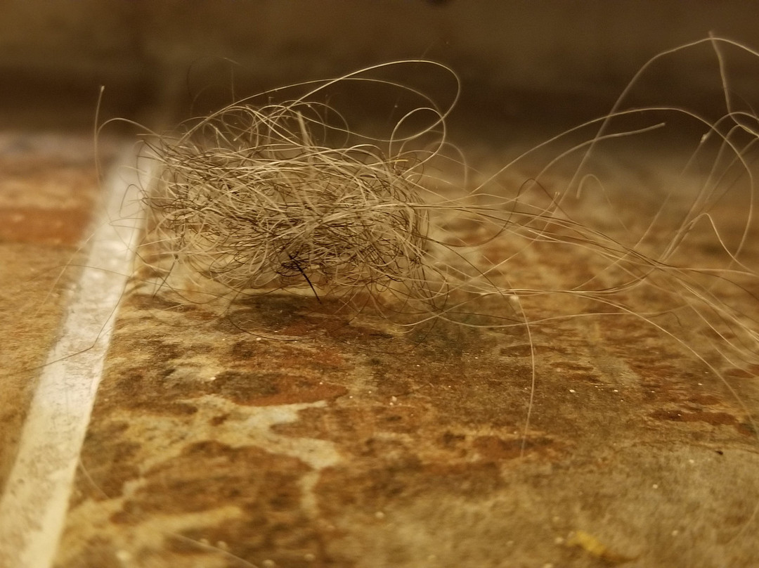 Kachina Lodge De Taos主图