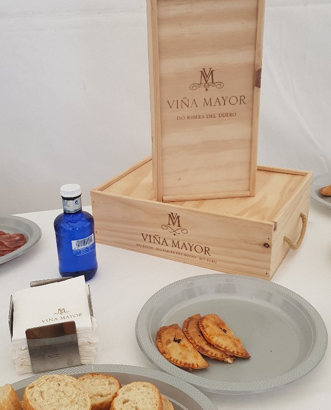Bodegas Vina Mayor-Quintanilla de Onesimo必去景点