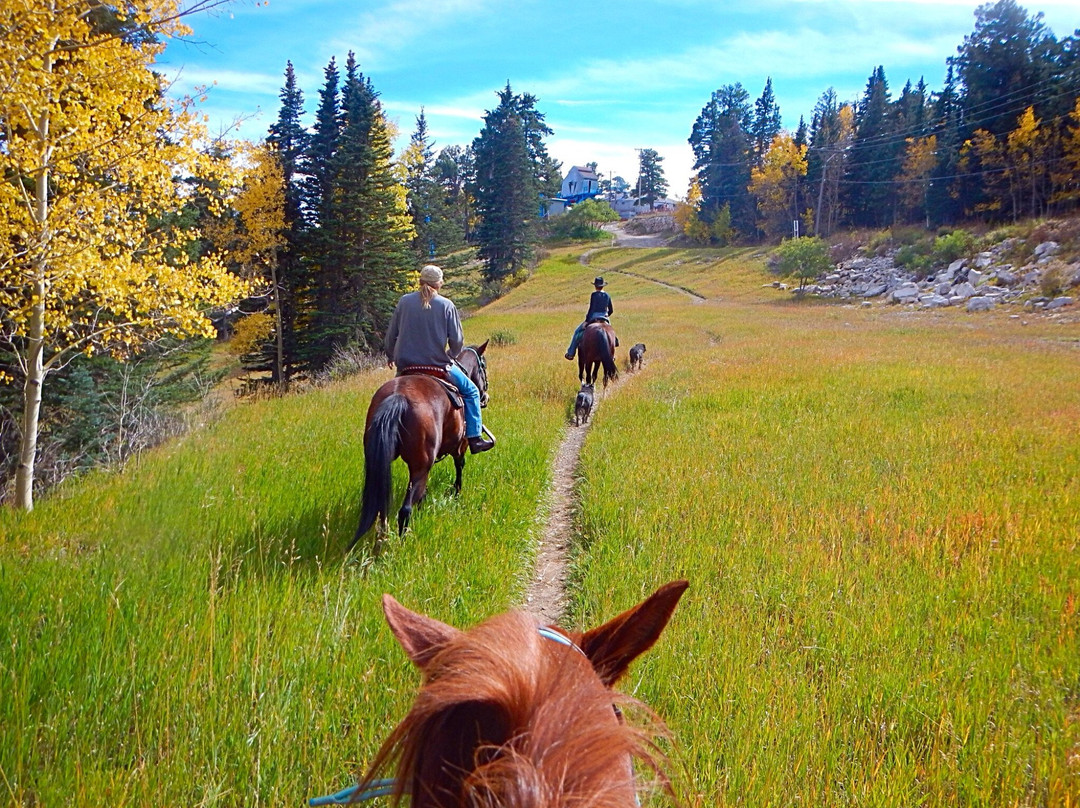 Enchantment Equitreks