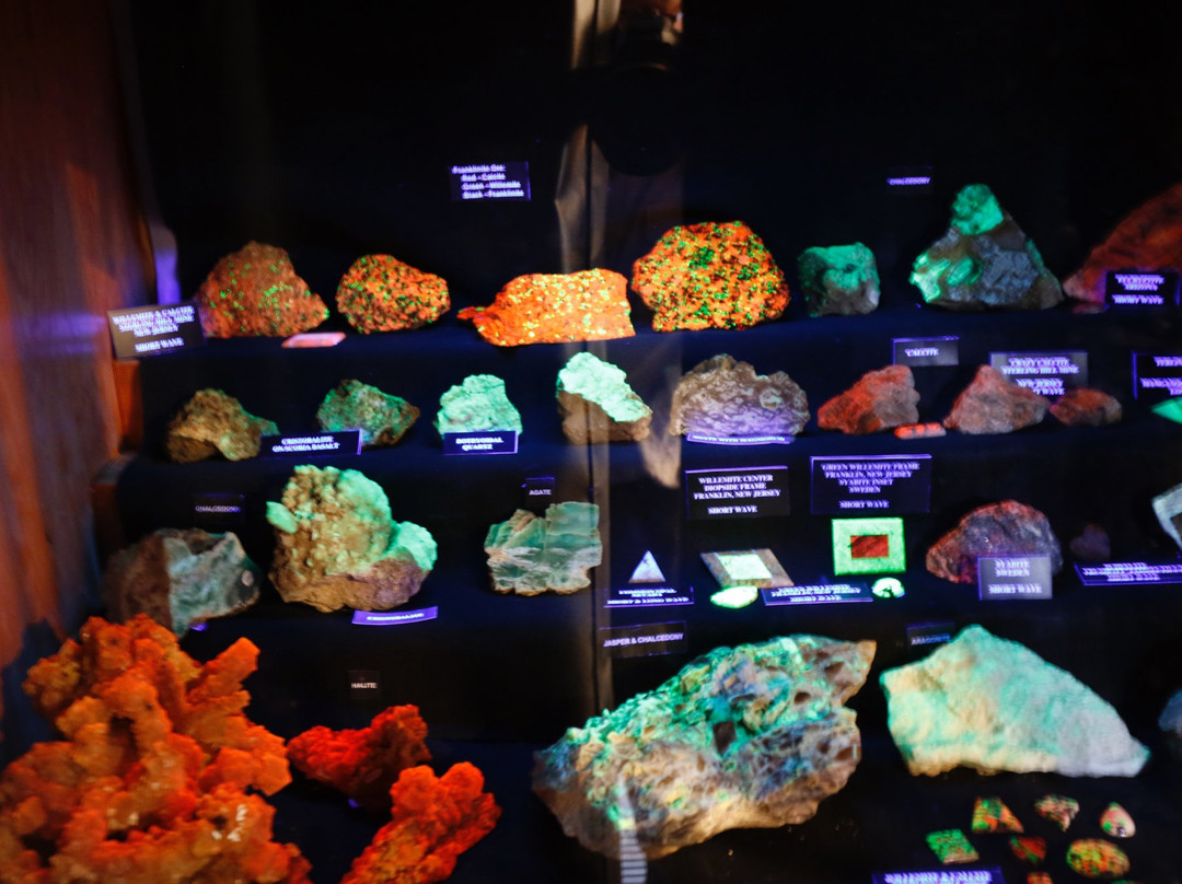 Museum of Mining & Geology-博伊西必去景点