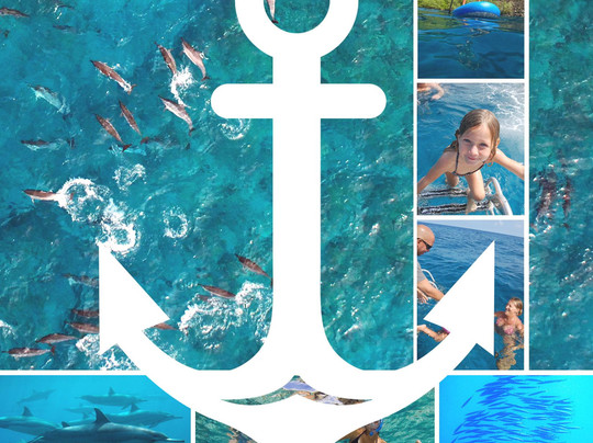 Alii Ocean Tours