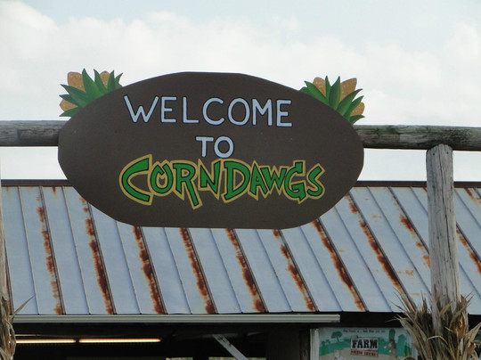 Corn Dawgs Corn Maze-Loganville必去景点