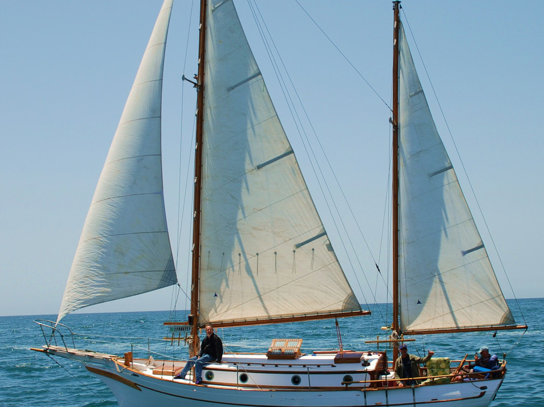 Free Spirit Sailing Adventures- Day Tours景点图片