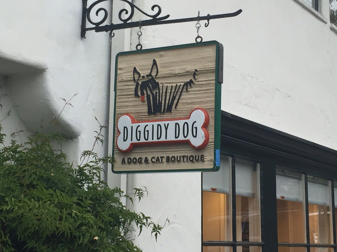 Diggidy Dog-卡梅尔必去景点