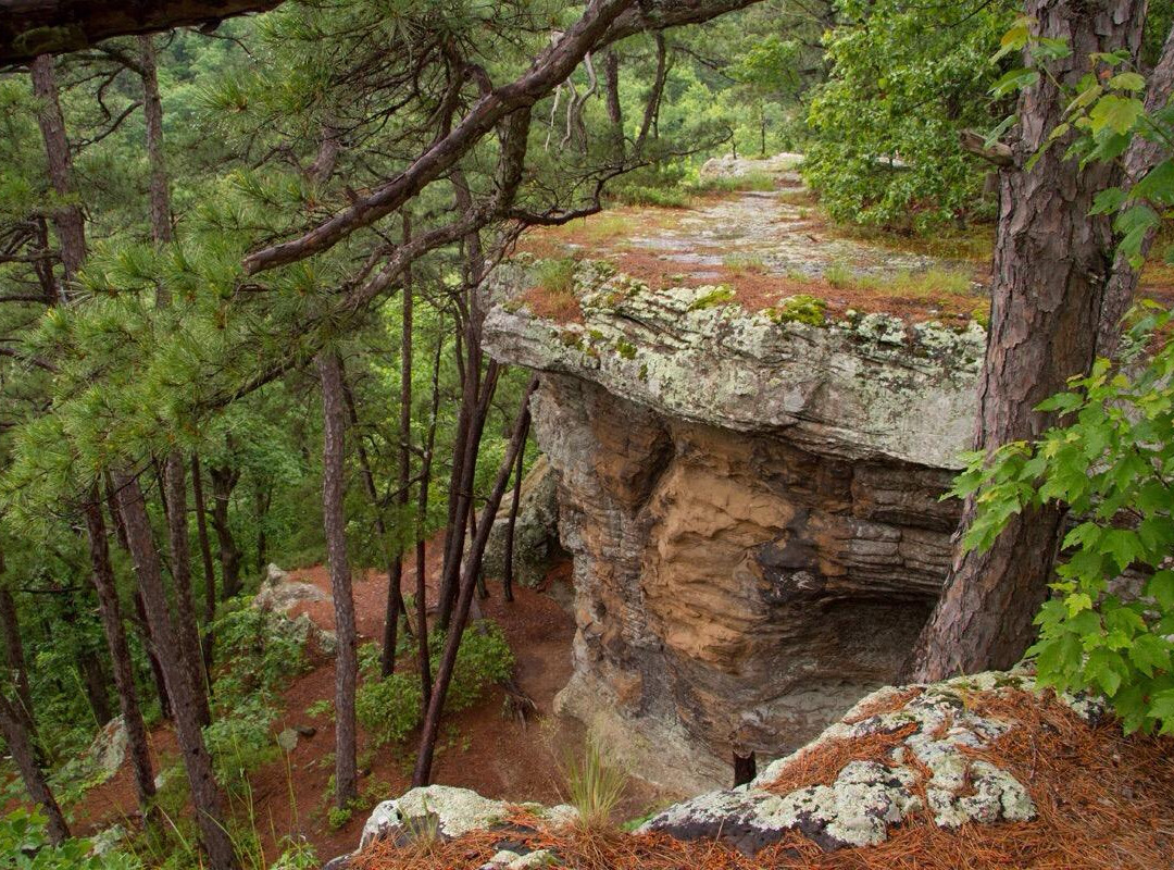 Ozark-St. Francis National Forests景点图片