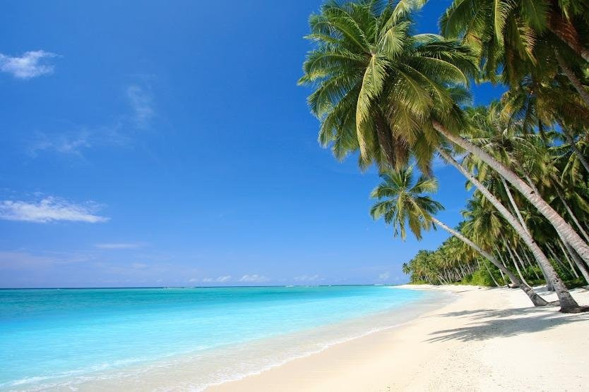 Zanzibar Home Taxi and Tours-桑给巴尔市必去景点