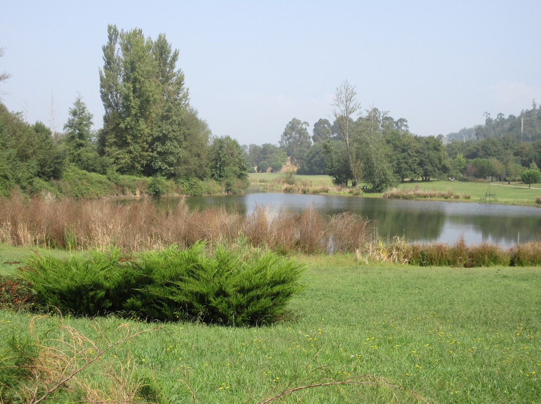 Parque da Devesa景点图片