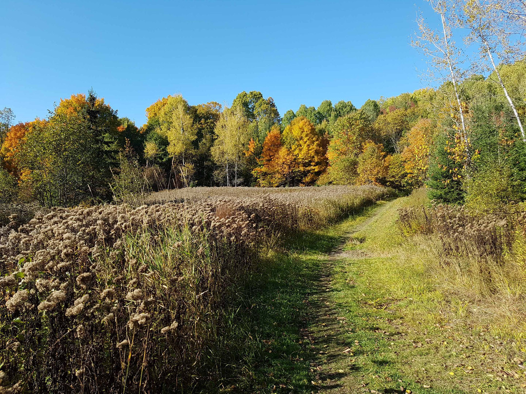 Lusk Cave-Chelsea必去景点