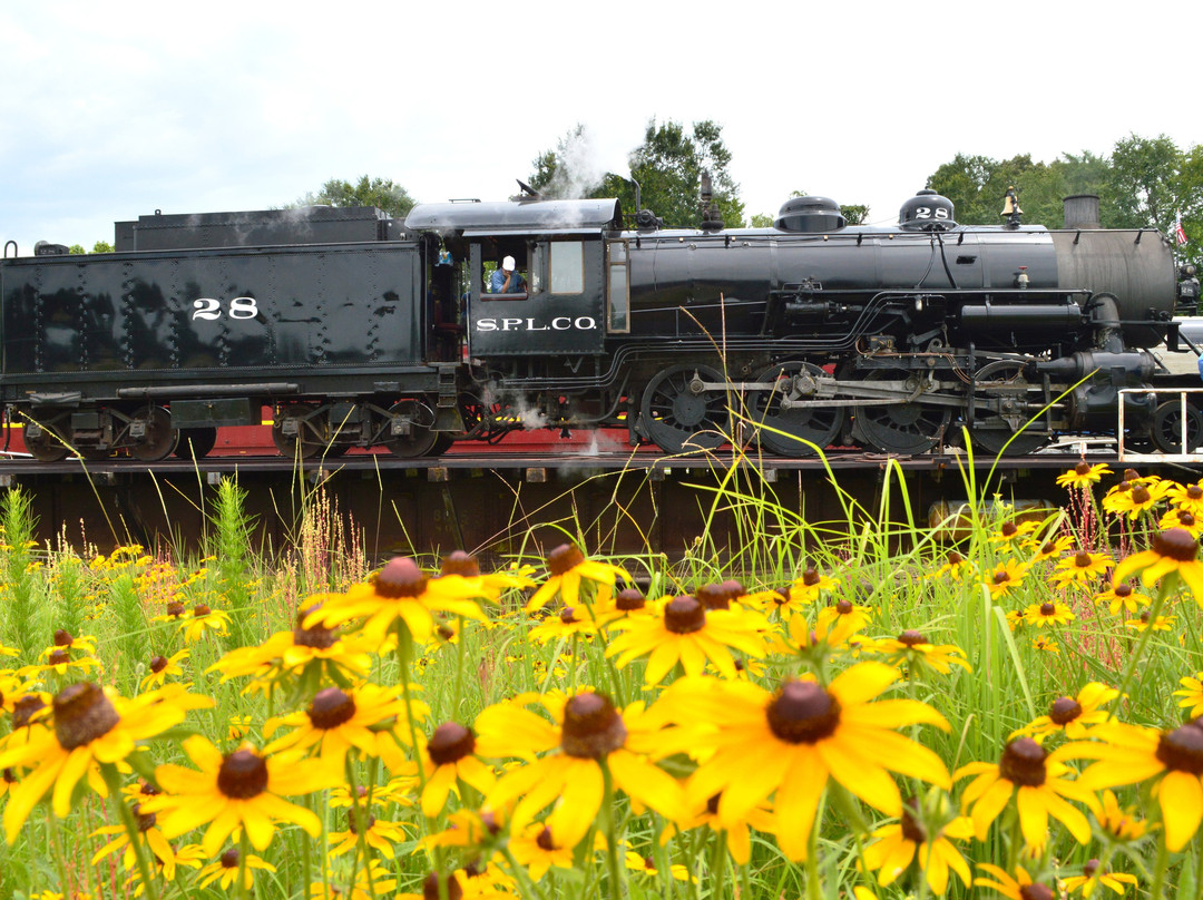 Texas State Railroad