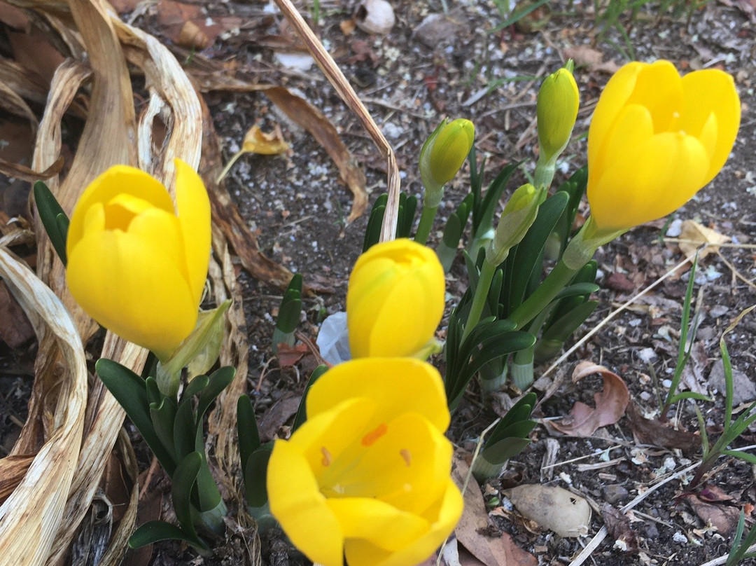 chiesa di San Pietro-Sindia必去景点