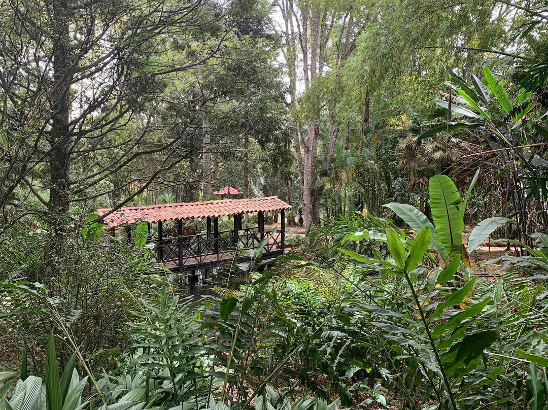 Free Walking Tour-Jerico必去景点