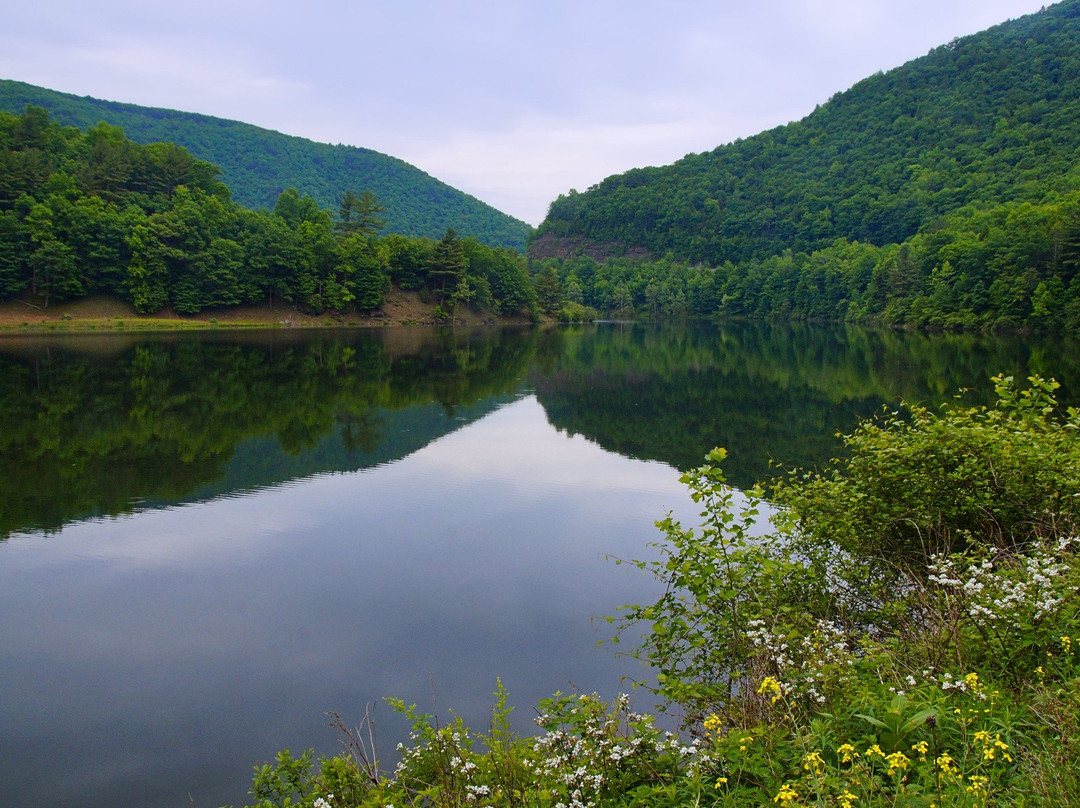 Kettle Creek State Park景点图片