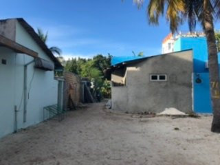 Amazing Noovilu主图