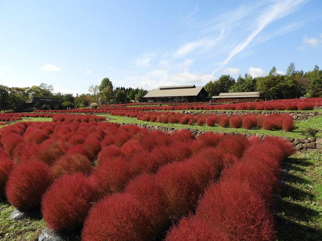 Michinoku Lakeside National Government Park-川崎町必去景点