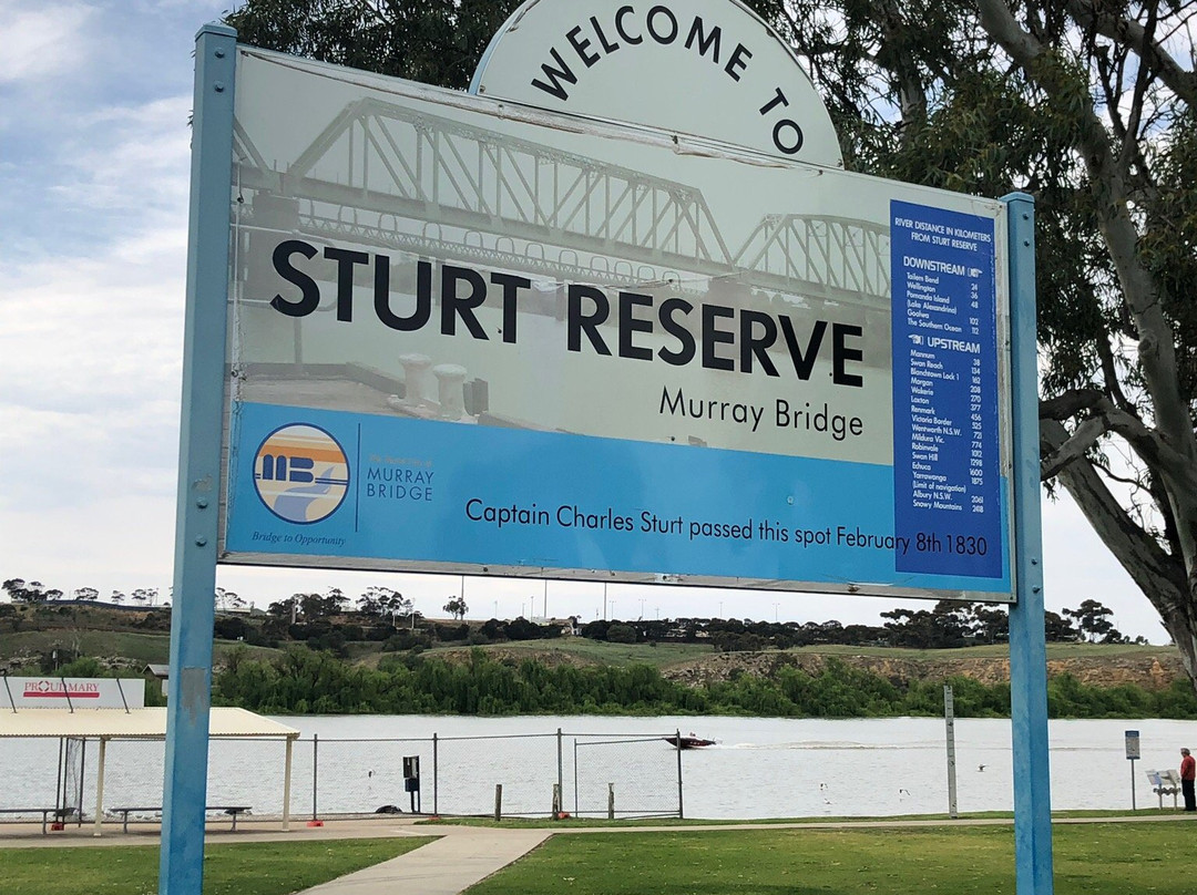 Sturt Reserve景点图片