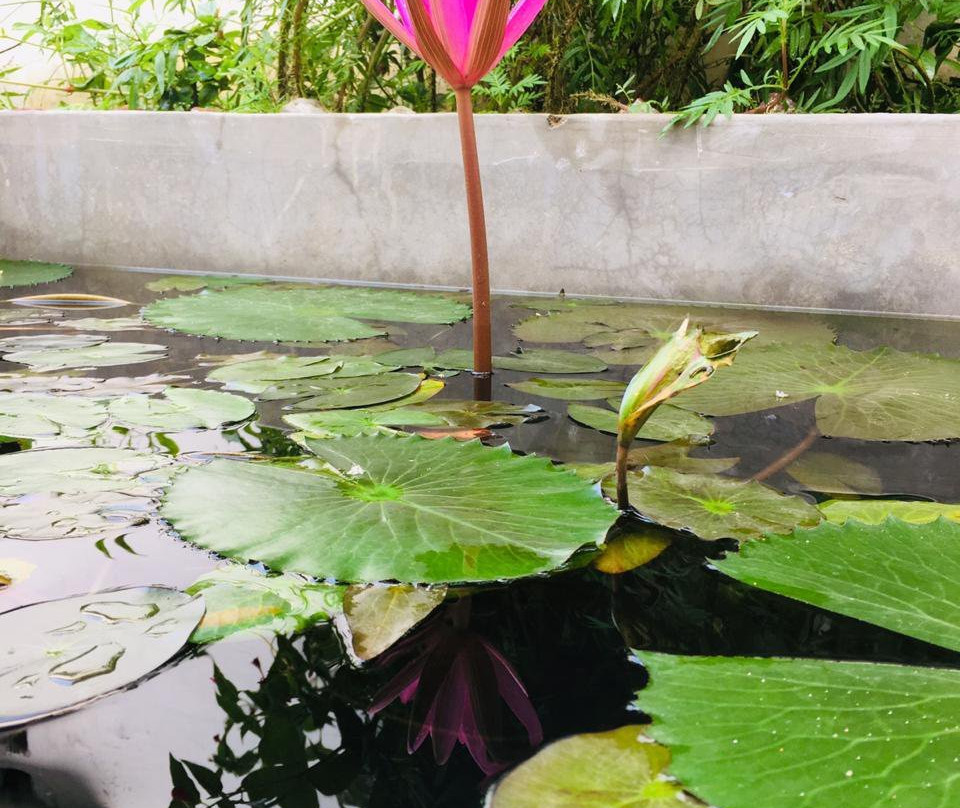 The High Vill Home Stay主图