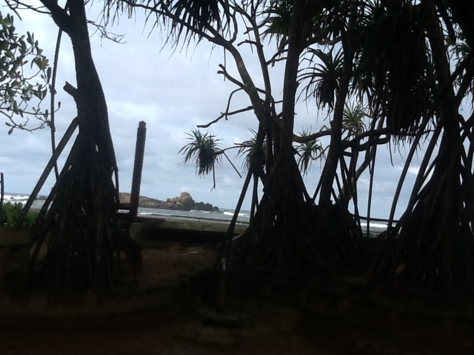 Barberyn Reef Ayurveda Resort-酒店景观