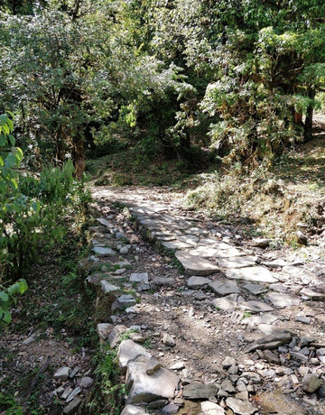 Magpie Jungle Camp Chopta Uttarakhand主图