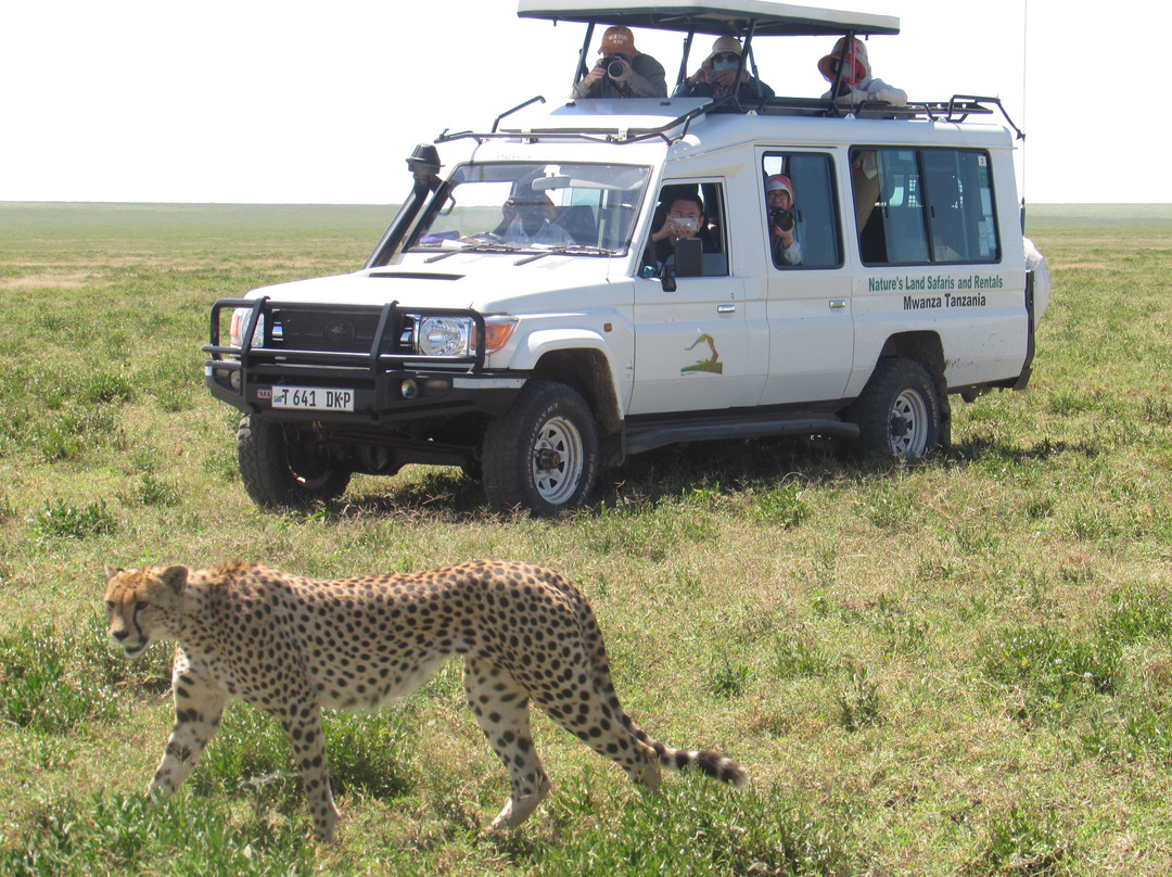 Nature's Land Safaris & Rentals-姆万扎必去景点