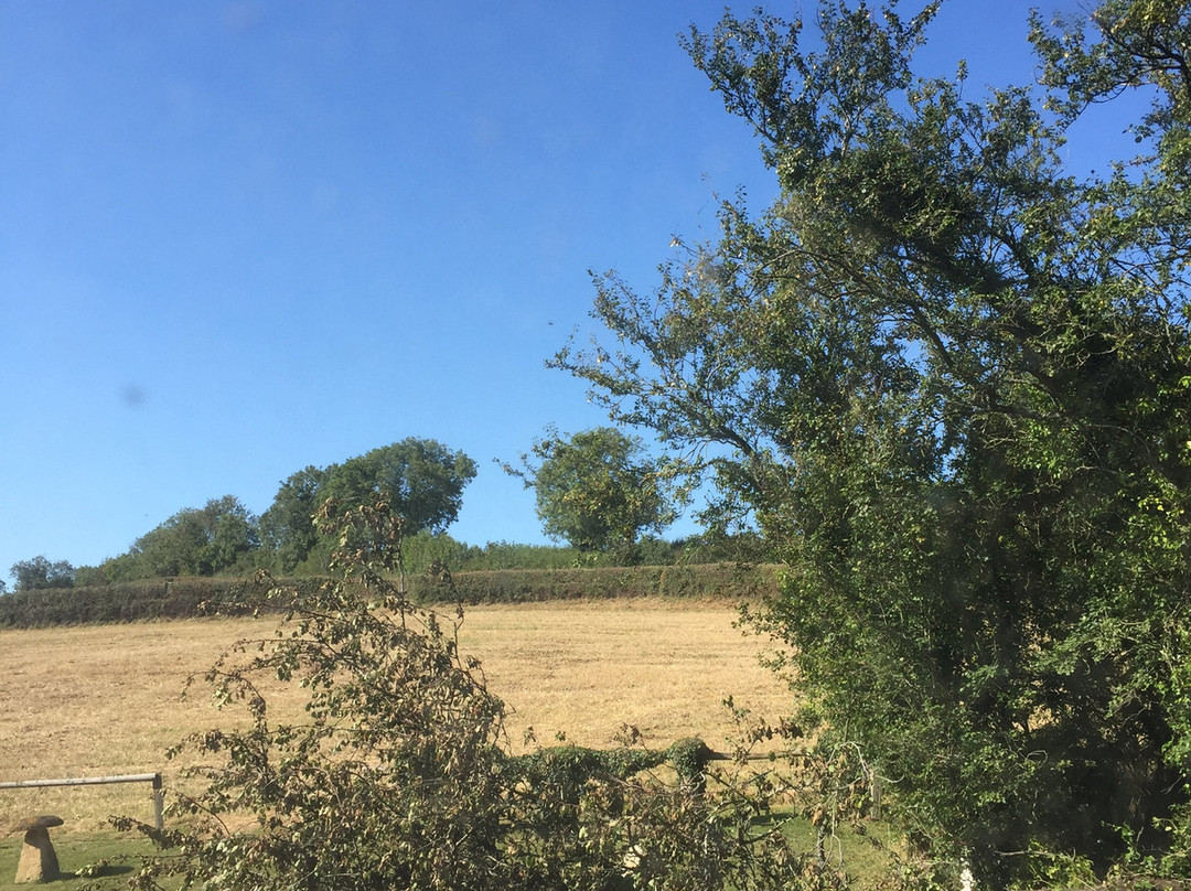 Corsham Field Farmhouse主图