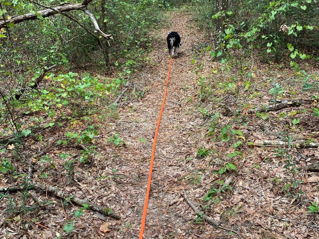 Whispering Pines Park-因弗内斯必去景点