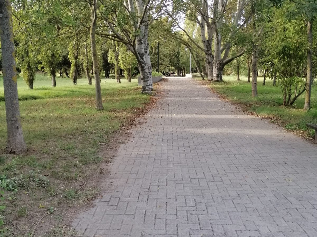 Parco del Gelso景点图片