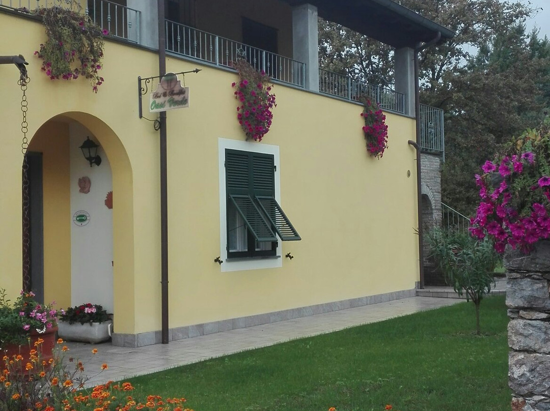 B&B Oasi Verde主图
