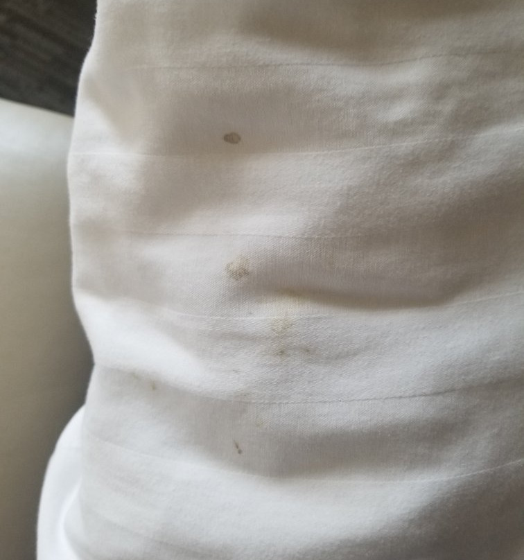 Drury Inn & Suites Cincinnati Sharonville主图