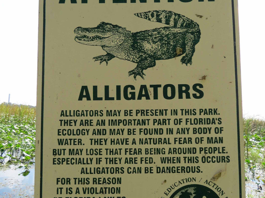 Lake Parker Park-莱克兰必去景点