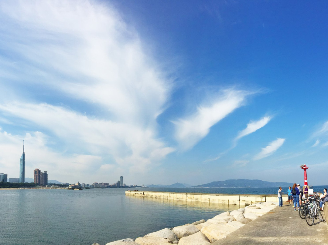 Fukuoka Bike Tour景点图片